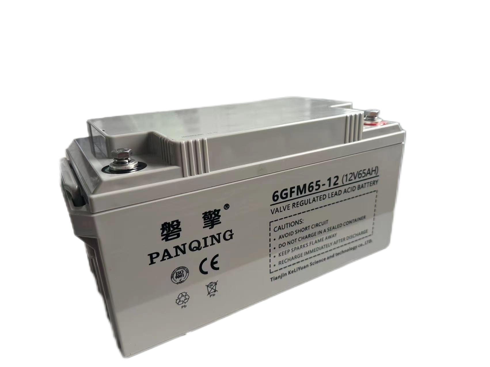 磐擎6GFM65-12蓄电池